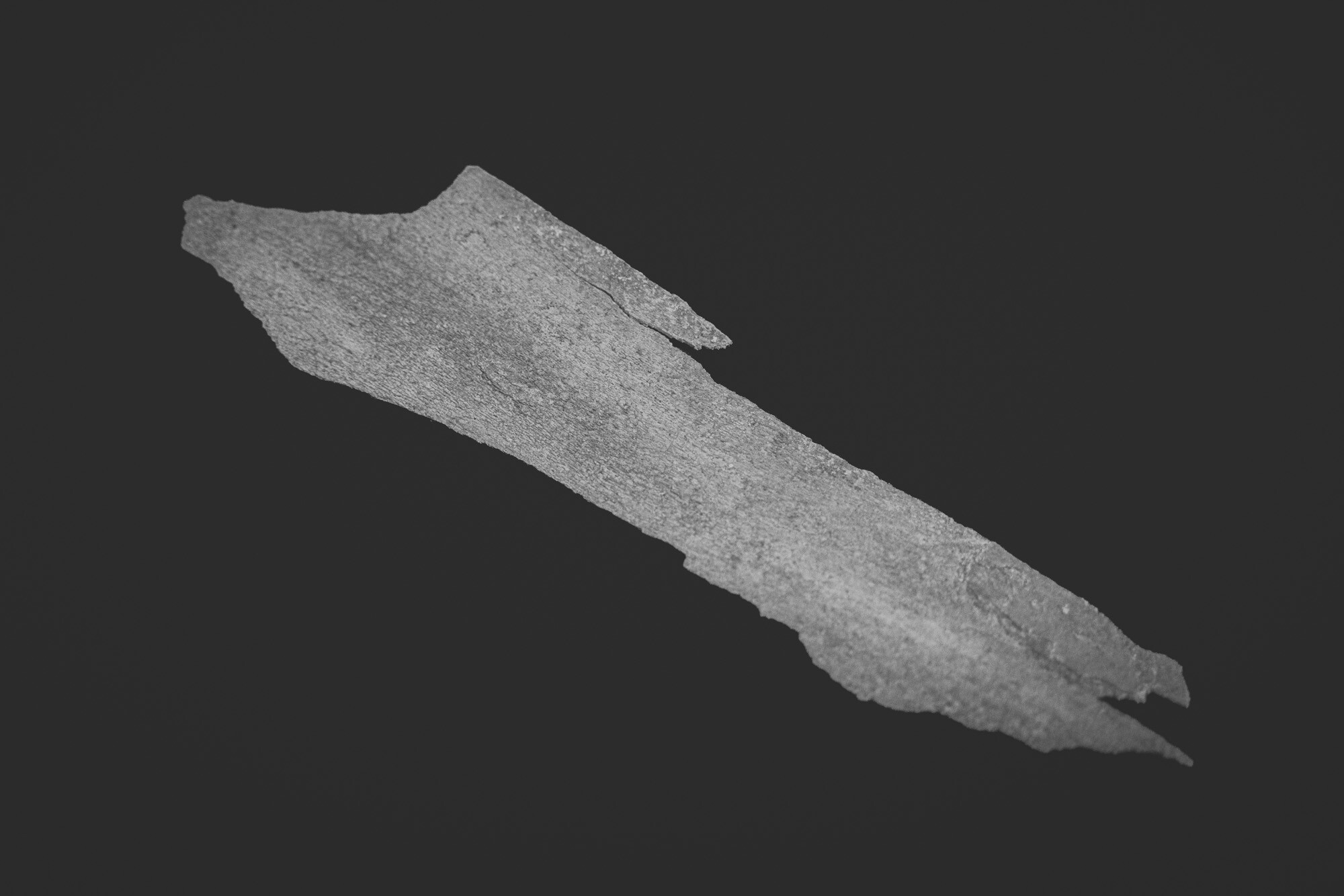 ©ElsaLaurent_150824_Plume_DSC0689