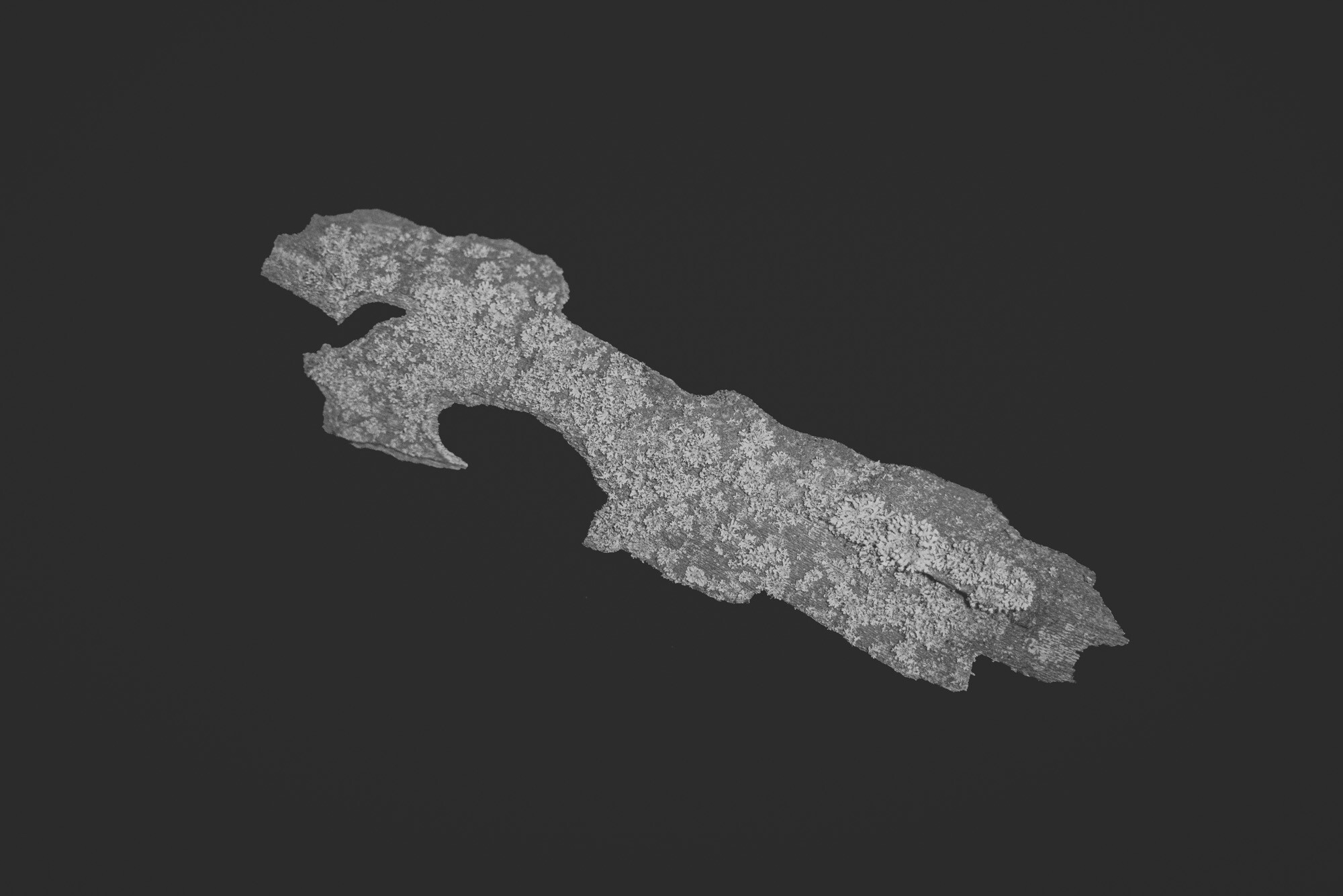 ©ElsaLaurent_150824_Plume_DSC0695