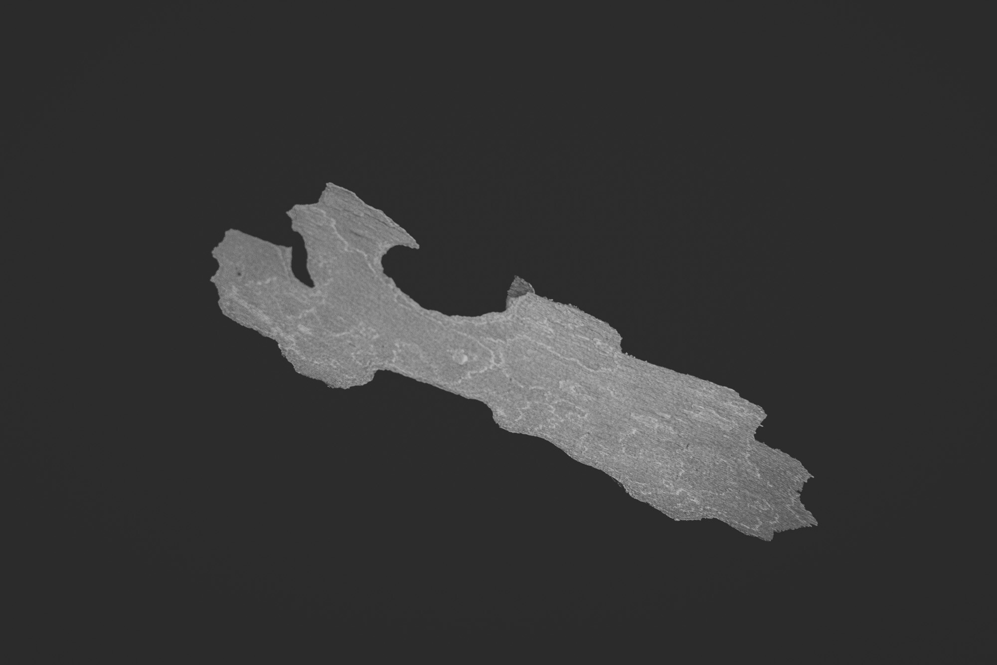 ©ElsaLaurent_150824_Plume_DSC0696