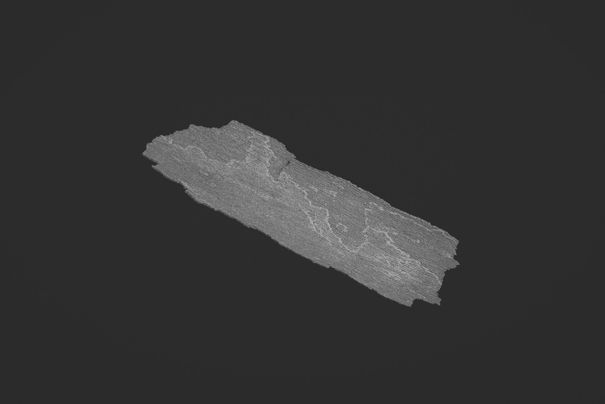 ©ElsaLaurent_150824_Plume_DSC0700