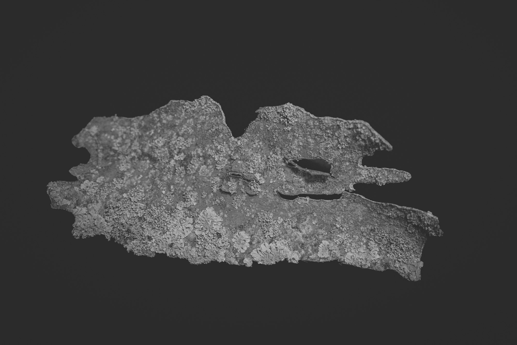 ©ElsaLaurent_150824_Plume_DSC0708