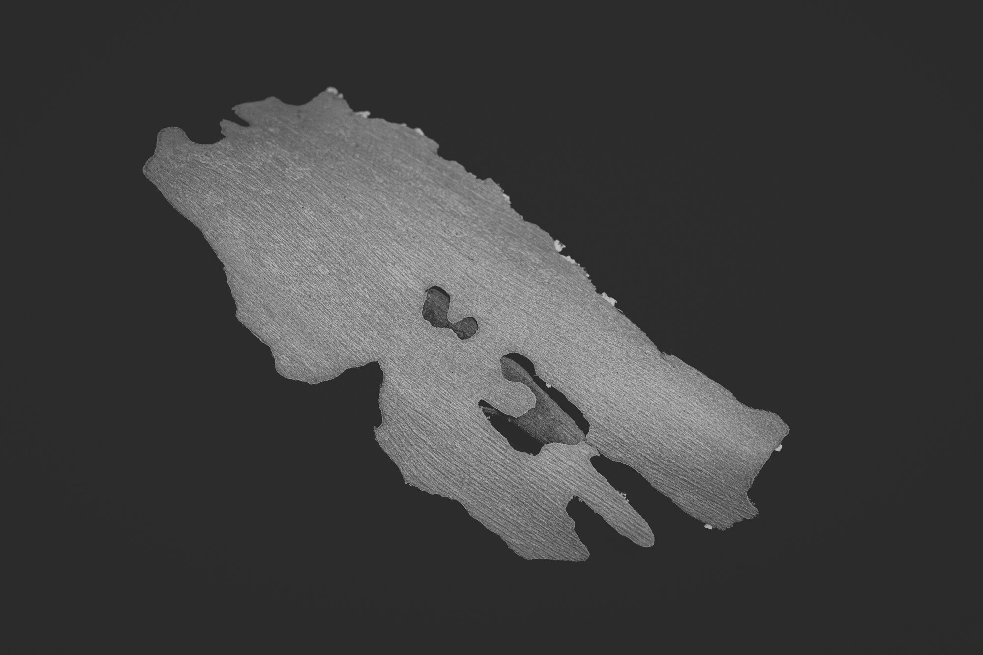 ©ElsaLaurent_150824_Plume_DSC0710