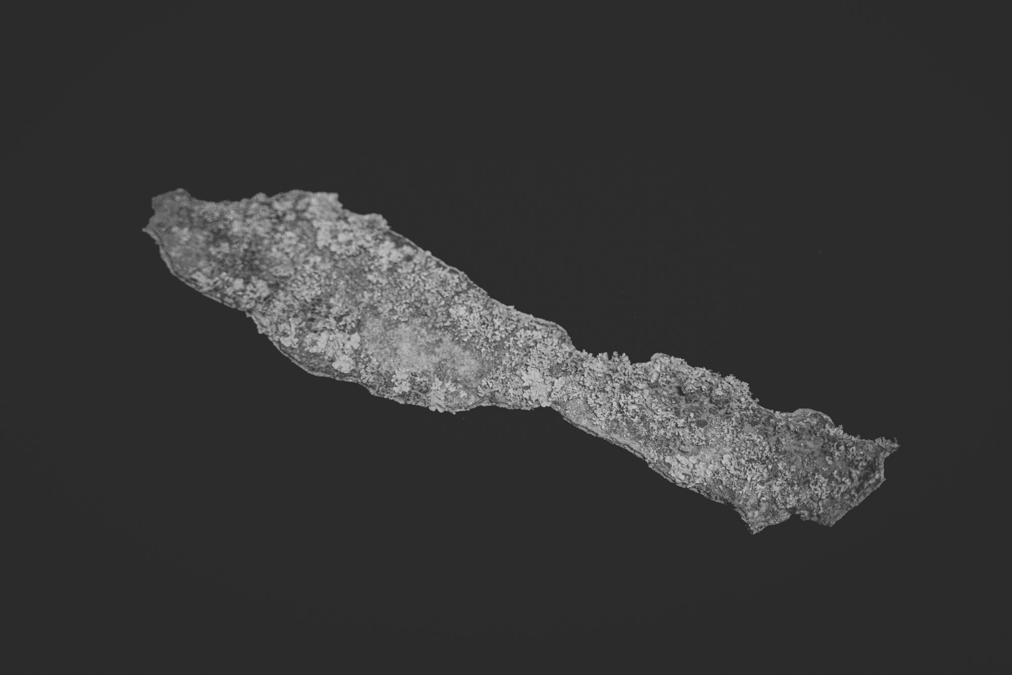 ©ElsaLaurent_150824_Plume_DSC0714