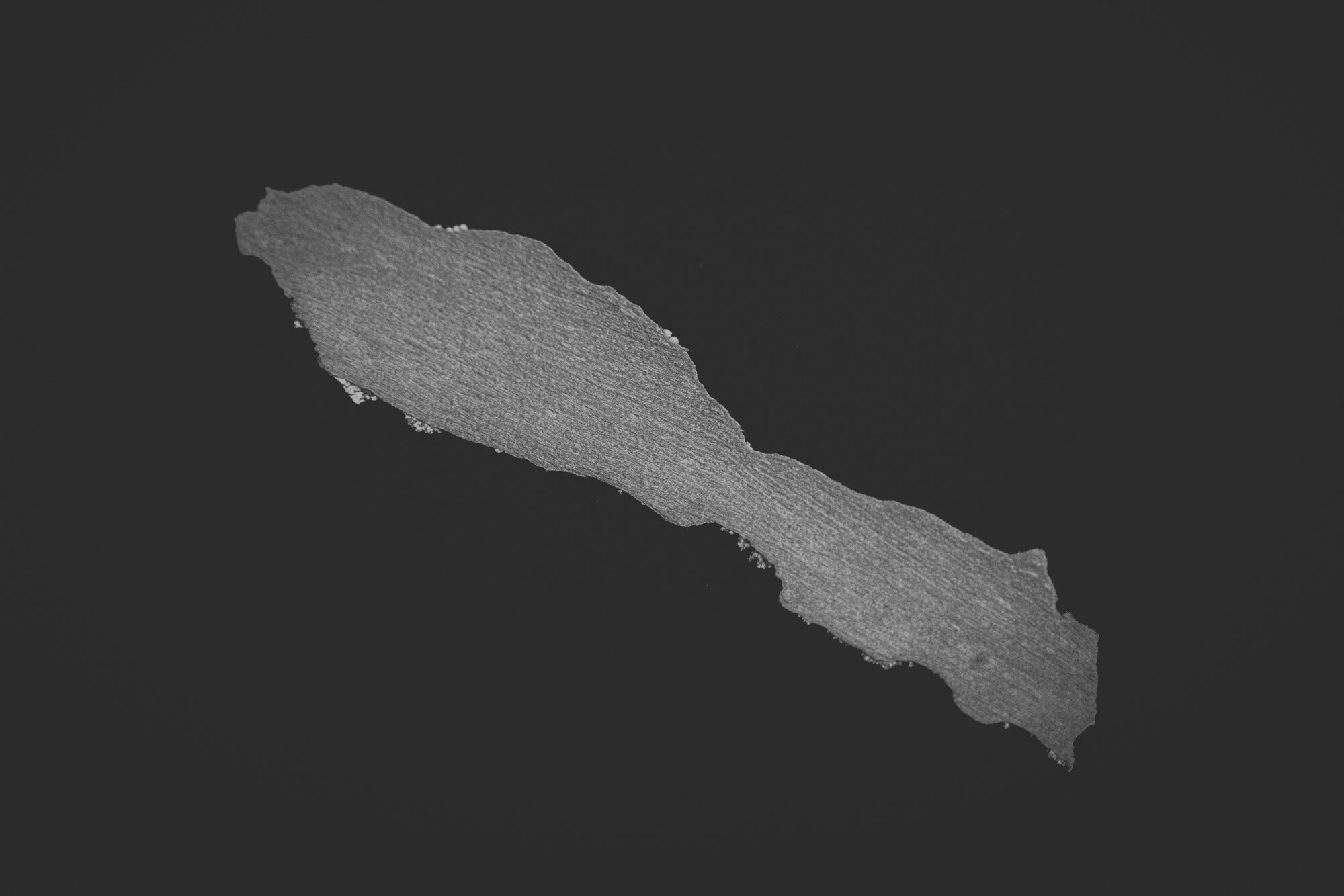 ©ElsaLaurent_150824_Plume_DSC0715