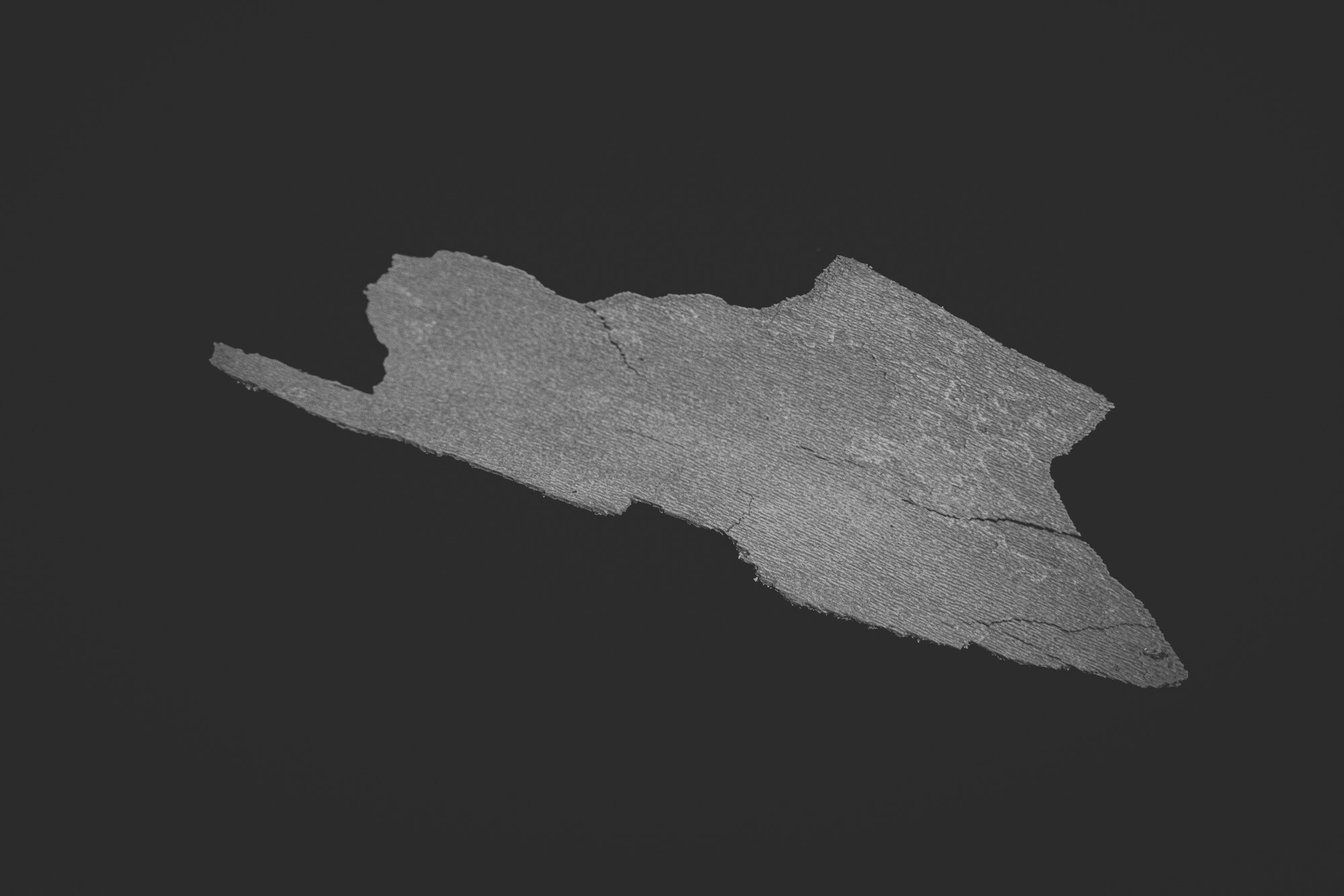 ©ElsaLaurent_150824_Plume_DSC0716