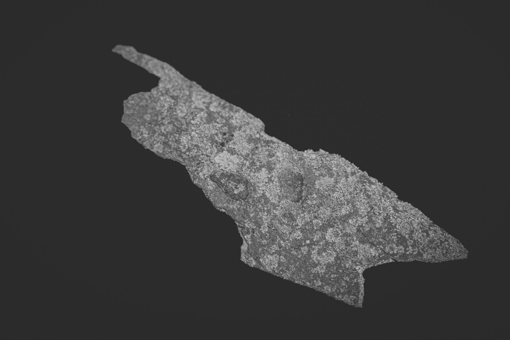 ©ElsaLaurent_150824_Plume_DSC0717