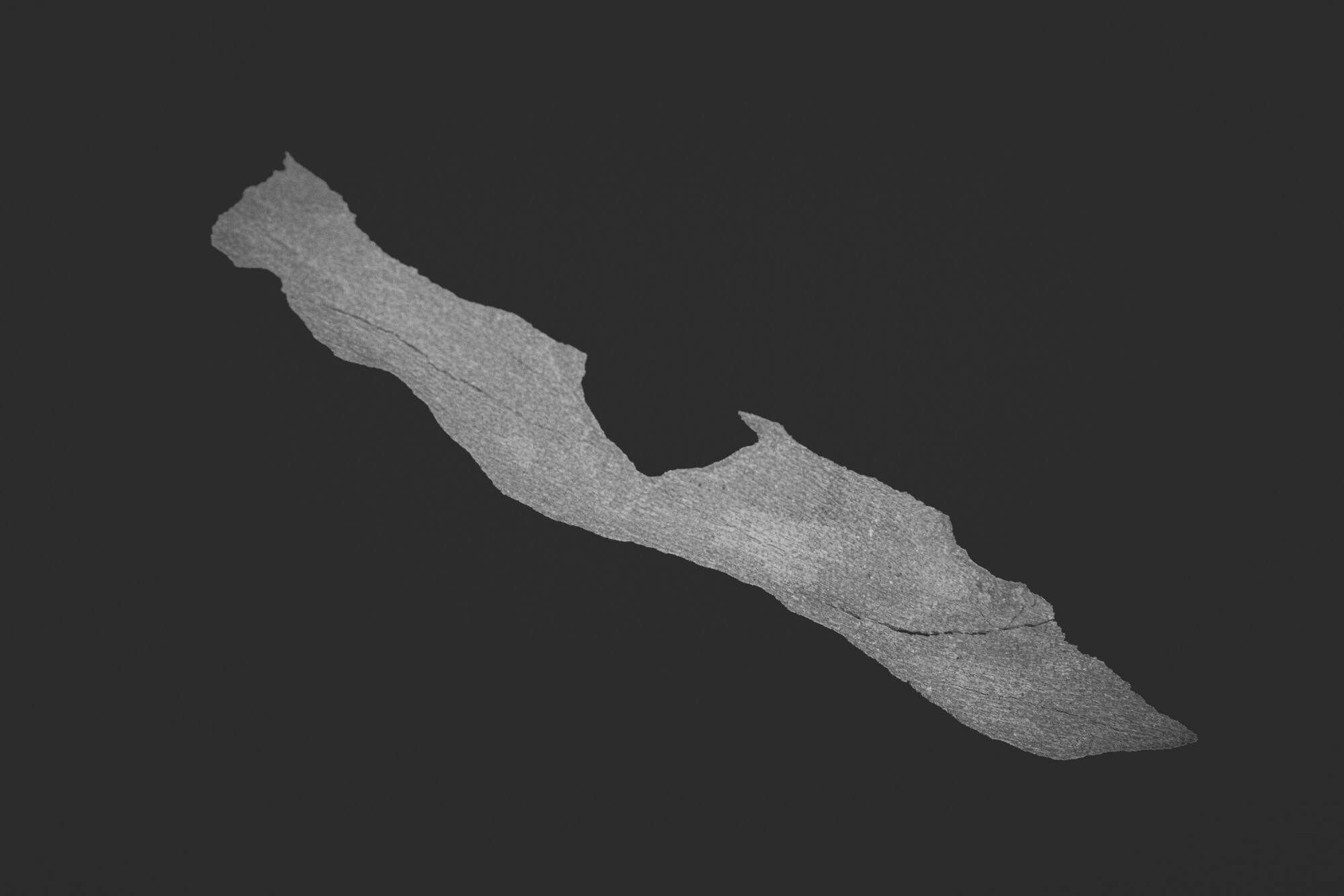 ©ElsaLaurent_150824_Plume_DSC0733