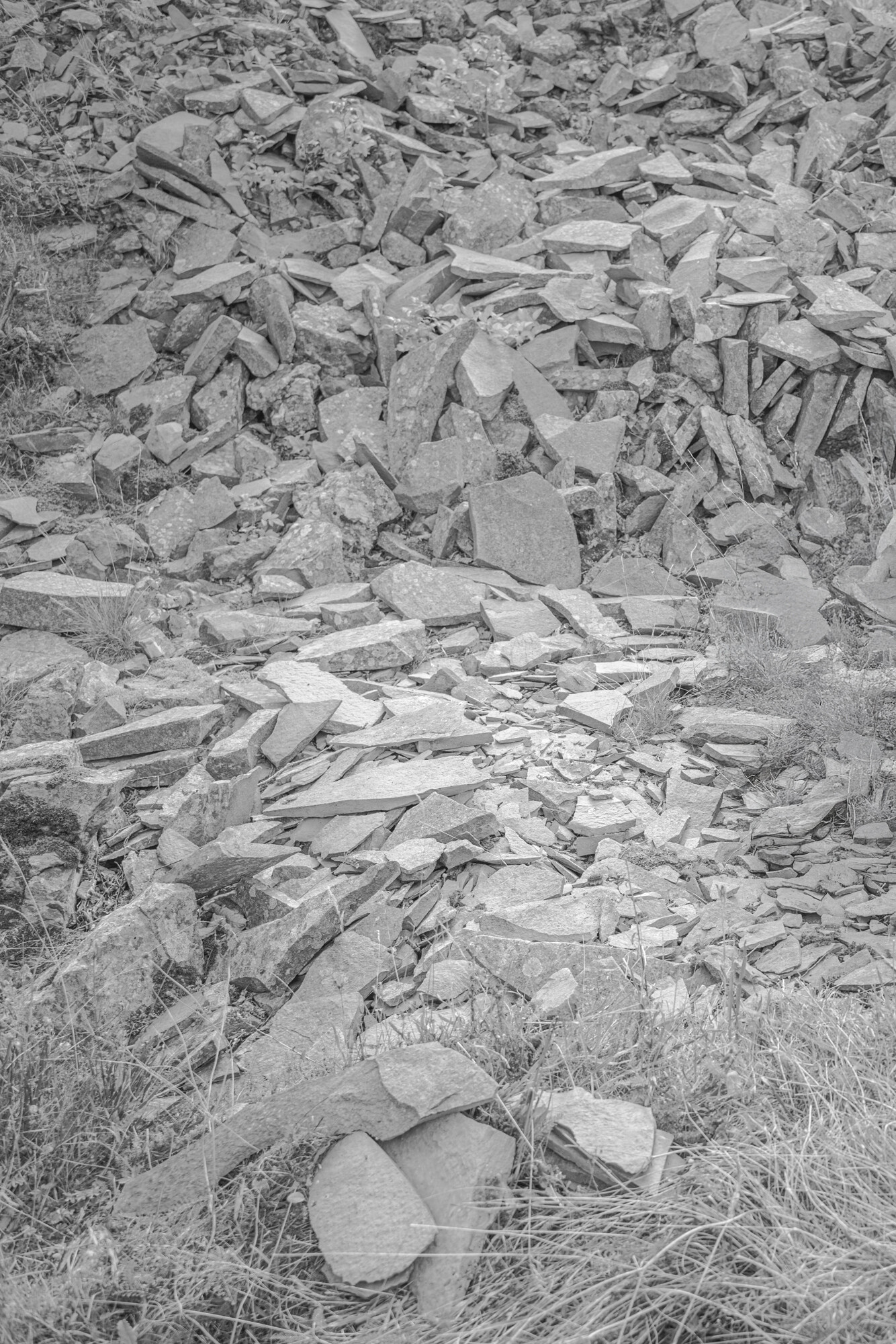 ©ElsaLaurent_160924_PIERRES_A7c1_DSC5059b