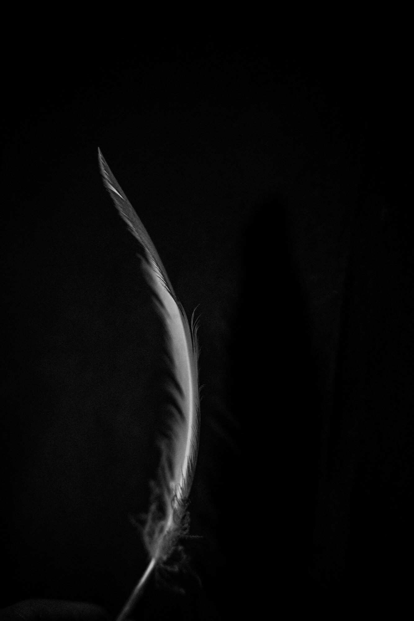 ©ElsaLaurent_220625_Plume_DSC4665