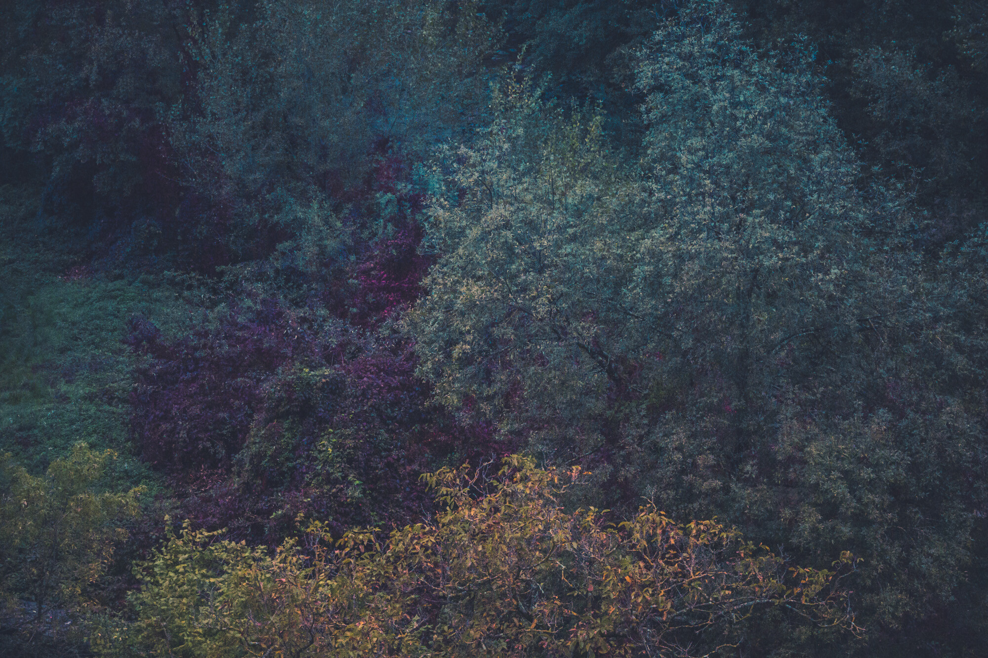 ©ElsaLaurent_Ecoute_071024_DSC3388